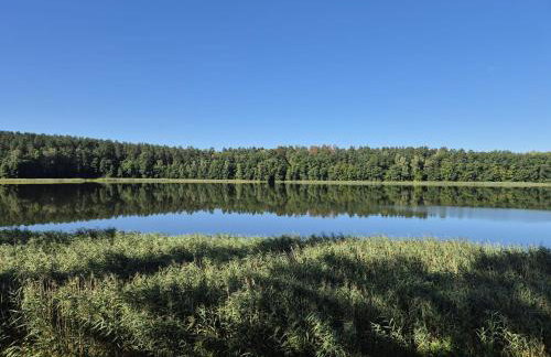 Apartament nr 9 Mazurskie Klimaty - Photo 19