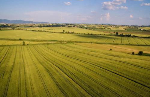 Rustic Charm, Modern Comfort - Foto 55