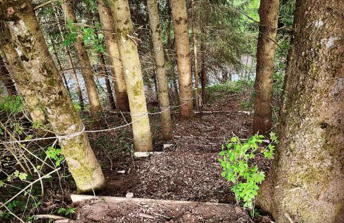 Allgäu Ferienhof Schönberger - Photo 70