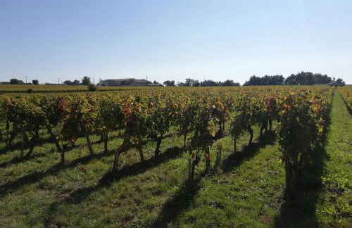 Océan House Le Porge - Foto 15