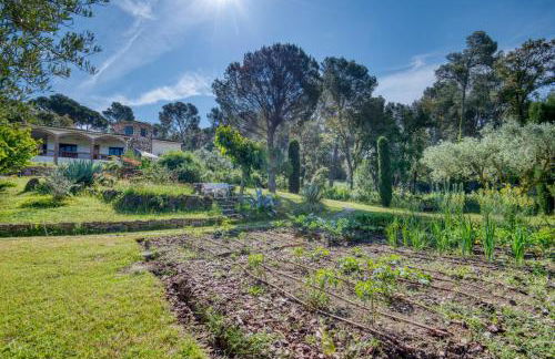 Mas Tomasi 264 - Foto 39