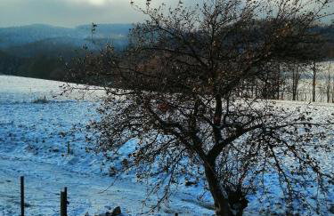 Domek w Górach Sowich - Foto 22