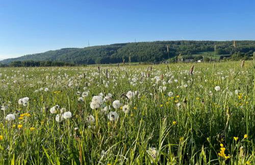 Ferienwohnung Westerburg - Foto 30
