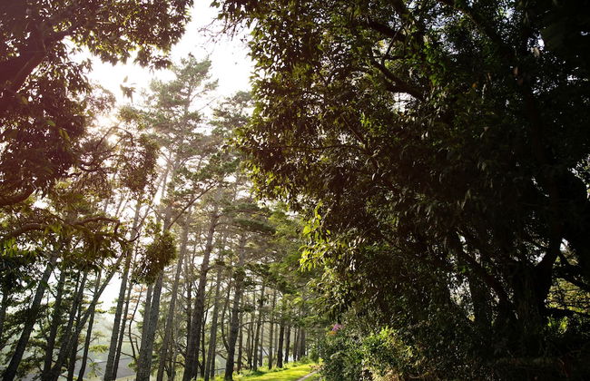 Sea Studio - Sea-facing - Foto 42