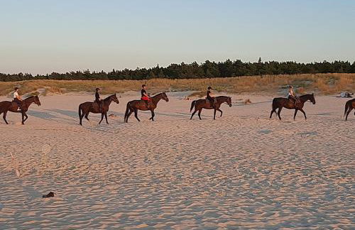 Magico Posto - Foto 42