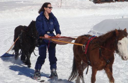 Chalet Clementine - Foto 47