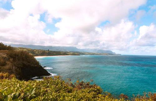 Kauai Plantation Hale Hotel - Foto 42