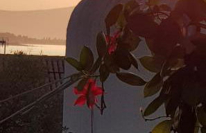 villa aneme Spetses - Photo 60