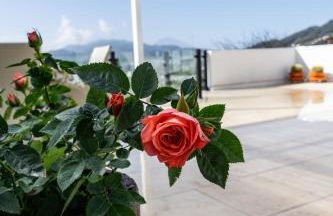 Casa de Limon - Foto 74