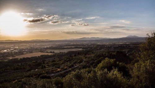 Il Poggio Delle Ginestre - Foto 5