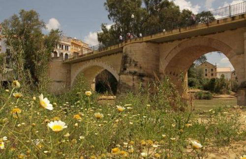 El Rincón de Don Gonzalo - Foto 13