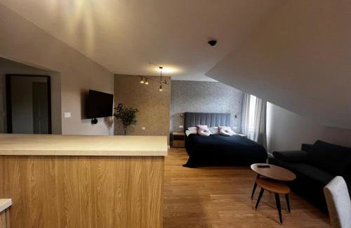 Apartamenty Św Stanisława - Foto 16