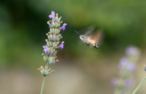 Agriturismo Casagrande - Photo 8
