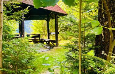 Villa Makuchówka - Foto 44