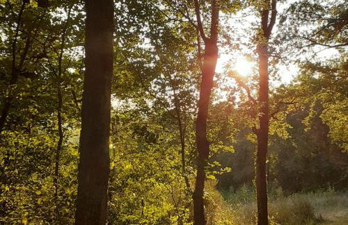 Charmant gîte avec terrasse, poêle à bois et parking privé près de la Creuse et d'Argenton-sur-Creuse - FR-1-591-564 - Foto 28