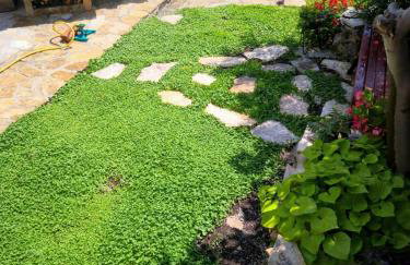 Holiday Home Little Heaven - Photo 7