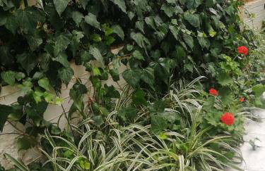 Palataki Residence - Photo 34