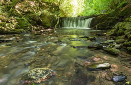 FeWo Algenrodt - Foto 39