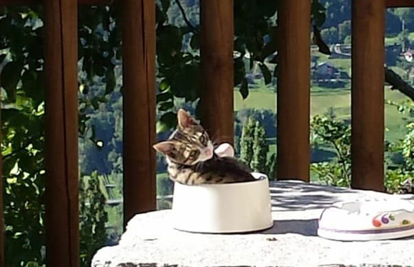 Lavish Holiday Home in Playa Blanca With Pool & Seabeach Nearby - Foto 48