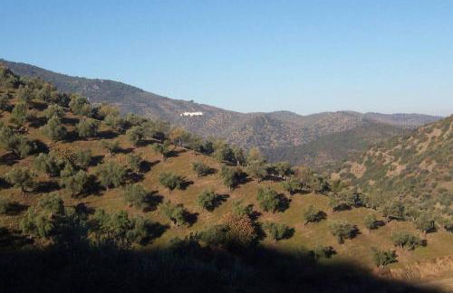 Cortijo "Era Grande 2" - Foto 23