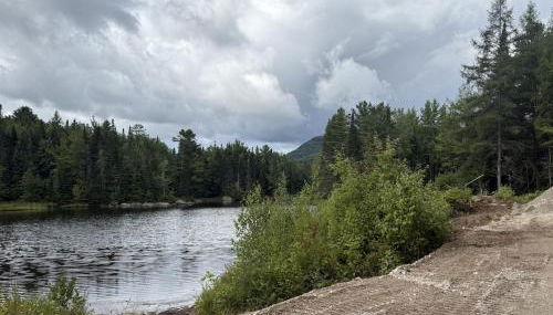 White Birch Mirror House at FarAway Pond - Foto 2