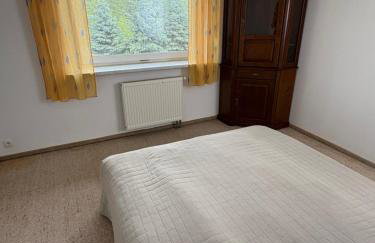 Chata Stołowa - Game Room - Bilard, SimRacing, Arcade - Foto 43