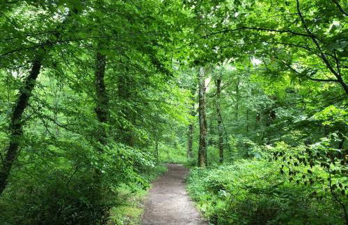 Chalet La clef des champs - Vue Imprenable - Piscine - Photo 30