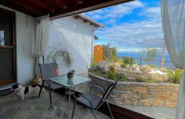 To giataki tou pappou - Foto 22