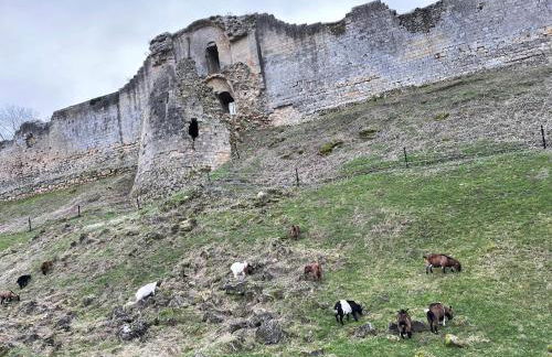 Gîte la Maison de Fram - Foto 36