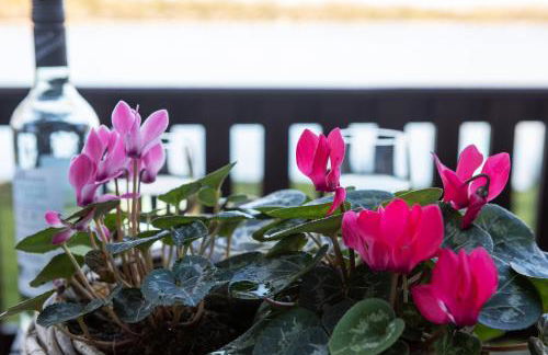 Sandmartin Lodge a lakeshore haven at Pine Lake Resort - Foto 29