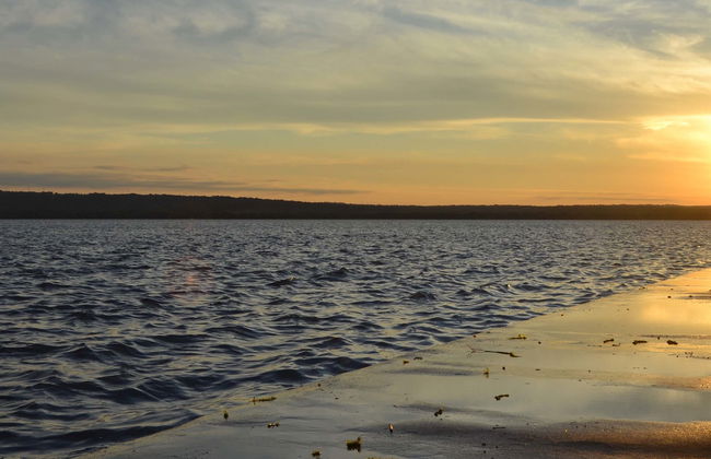 Excursão a San Bernardino - Foto 1