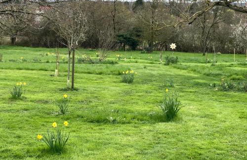 Gîte au calme avec jardin et wifi à Saint-Doulchard - FR-1-586-68 - Foto 14