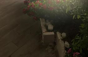 Aria di Mare - Foto 15