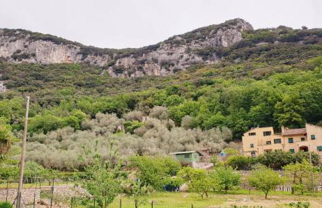 Agriturismo Alveare - Foto 31
