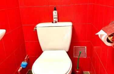 Duplex cosy en hypercentre de Thionville - 3min à pied de la gare - Foto 24