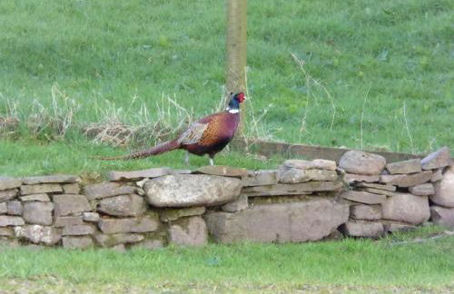 Blackside Cottage - A Luxury Rural Retreat - Foto 29