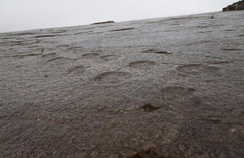 Rustic Holiday House in the Natural Park - Foto 45