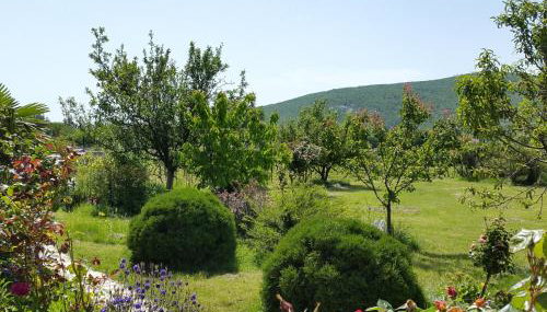 Almas - Foto 3, Other