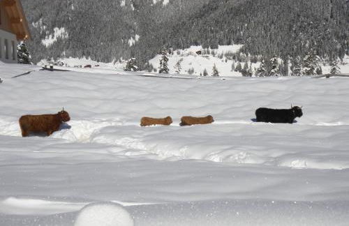 Chi Plans - Photo 17