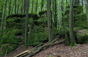 Landmanns Home - Foto 13