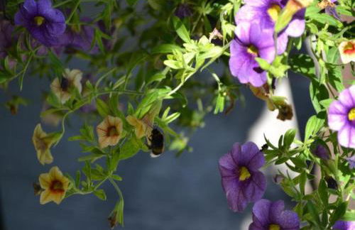 Holiday Home in Loubigne With Pool & Terrace - Foto 53