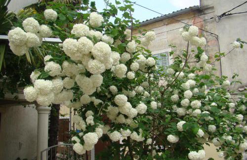 Apartments Renata - Brseč - Foto 23