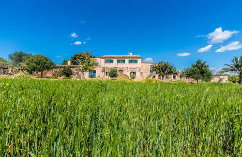 Finca Agroturismo Sa Cova den Borino - Foto 10