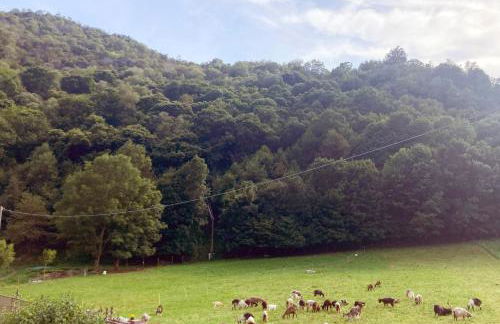 IRIS - Relaxing Alpine Getaway at Ballabio - Foto 25