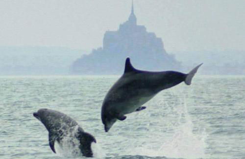 L'oeil du Mont vue unique sur le Mont St Michel - Foto 6