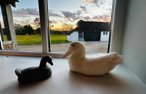 Charming rural cottage & private garden near South Downs - Great location for hiking - Photo 14