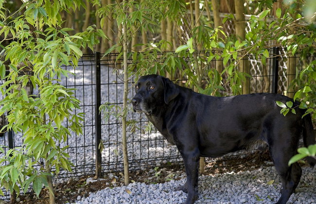 Rakuten STAY VILLA Hakone Sengokuhara - Foto 47