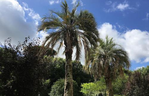 Windrose Casabianca - Foto 17