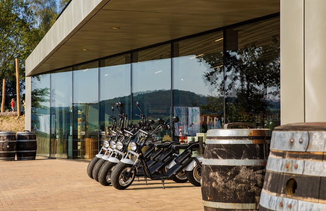 Detached Lodge Near Maastricht - Foto 16