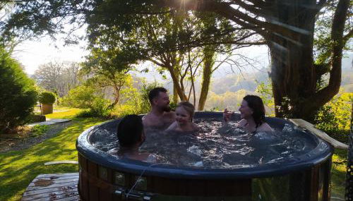 Cae'r Blaidd Country House - Foto 2